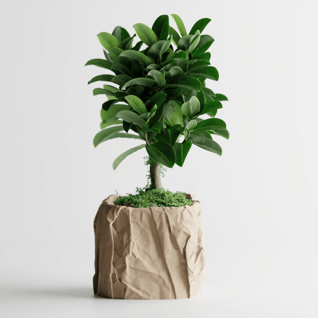 Velistra | ghiveci decorativ cu textură tip hârtie mototolită – formă pătrată