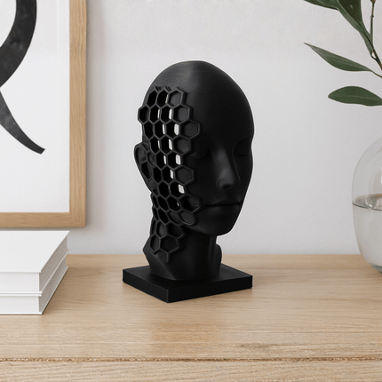 Enoa ׀ sculptură conceptuală