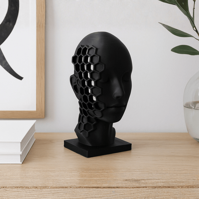 Enoa ׀ sculptură conceptuală