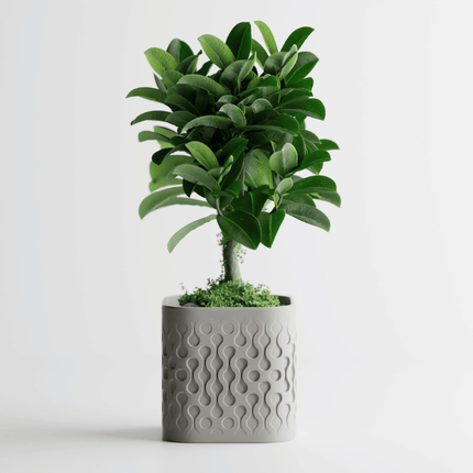 Mirava | ghiveci decorativ cu textură fluidă