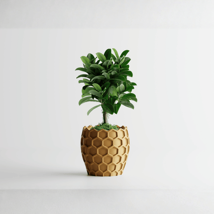 Cava | ghiveci decorativ inspirat din structura fagurelui