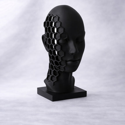 Enoa ׀ sculptură conceptuală