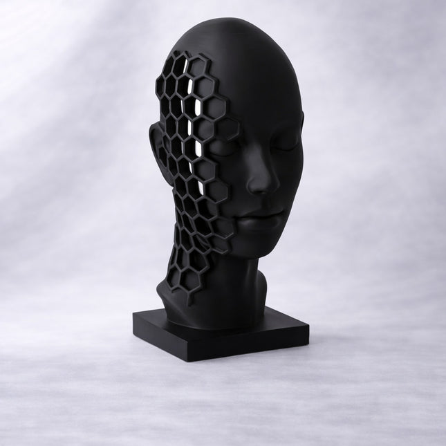Enoa ׀ sculptură conceptuală