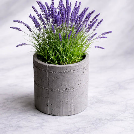 Alera – ghiveci cu textură de beton brut, design contemporan
