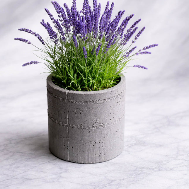 Alera – ghiveci cu textură de beton brut, design contemporan