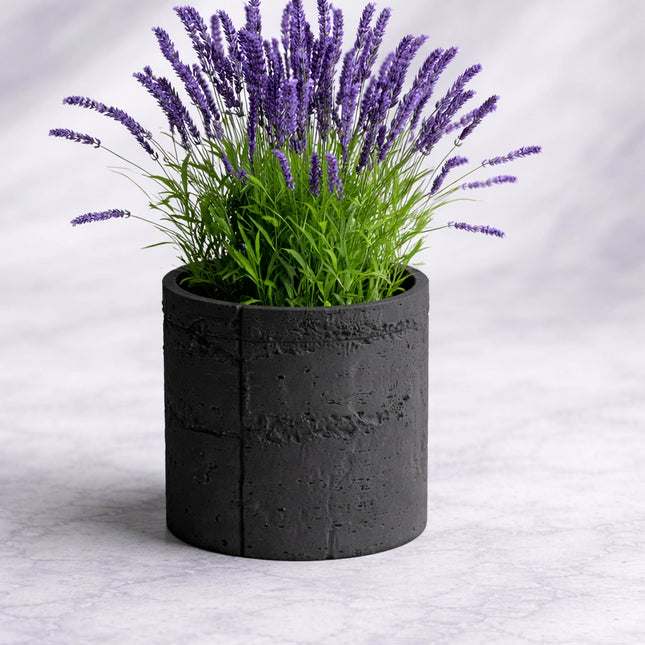 Alera – ghiveci cu textură de beton brut, design contemporan