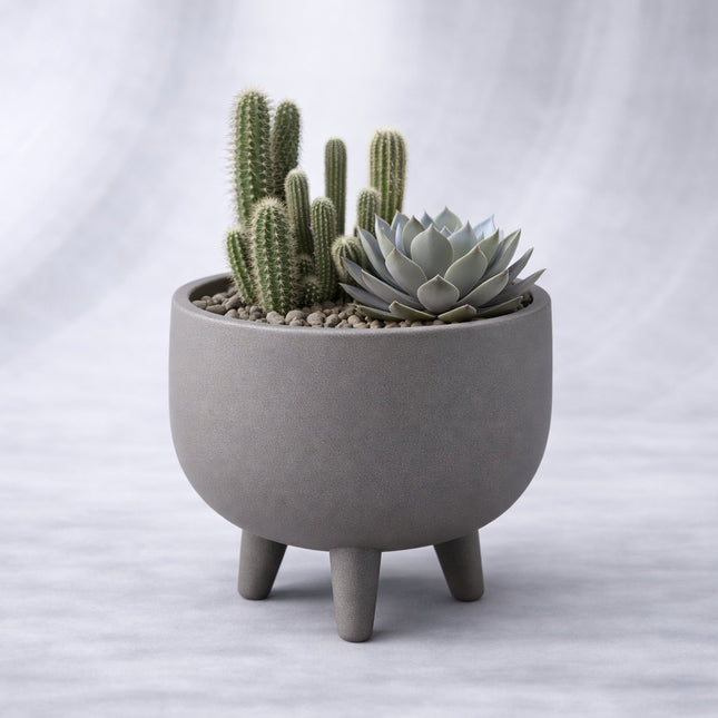 Animo | ghiveci decorativ