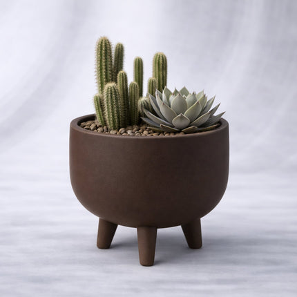 Animo | ghiveci decorativ