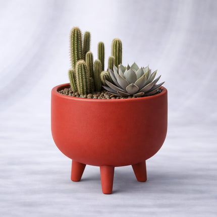 Animo | ghiveci decorativ