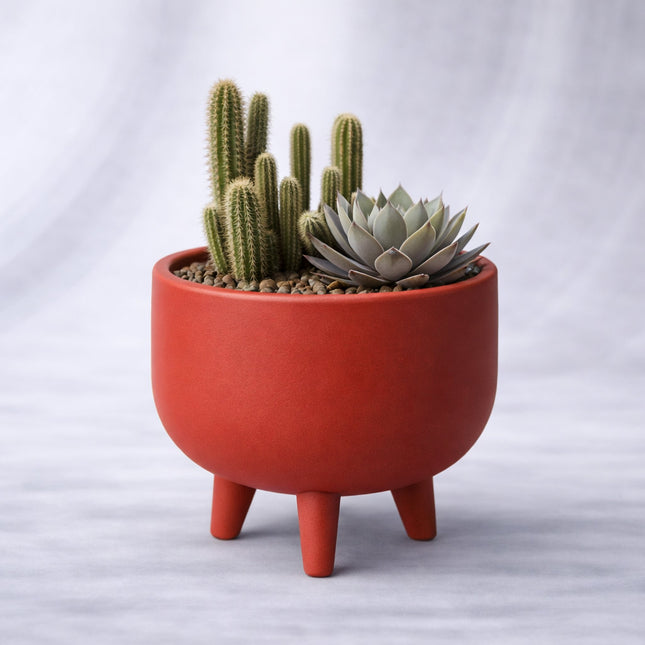 Animo | ghiveci decorativ