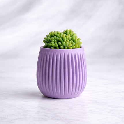 Aurea | ghiveci decorativ modern cu striații verticale