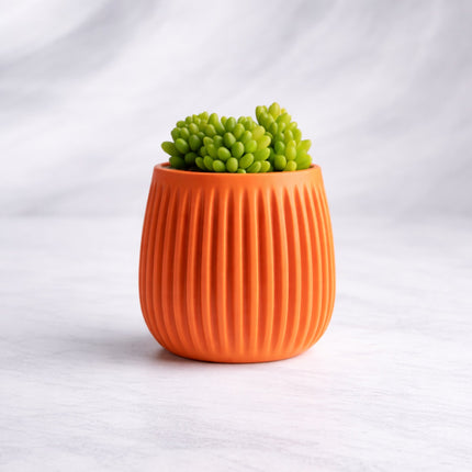 Aurea | ghiveci decorativ modern cu striații verticale