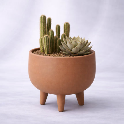 Animo | ghiveci decorativ