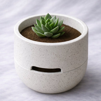 Marisma | ghiveci self-watering cu design minimalist