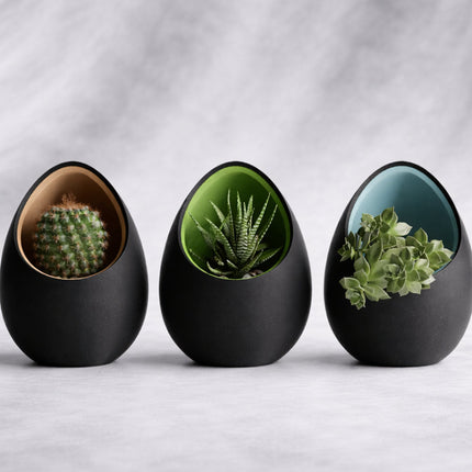 Ventor – ghiveci cu design organic și interior colorat