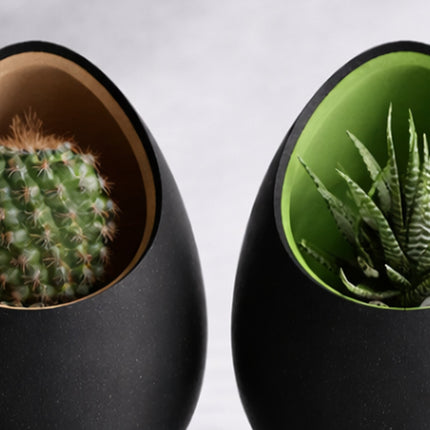 Ventor – ghiveci cu design organic și interior colorat