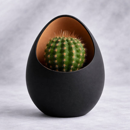 Ventor – ghiveci cu design organic și interior colorat