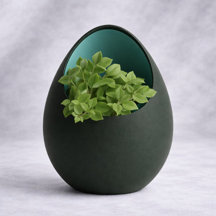 Ventor – ghiveci cu design organic și interior colorat