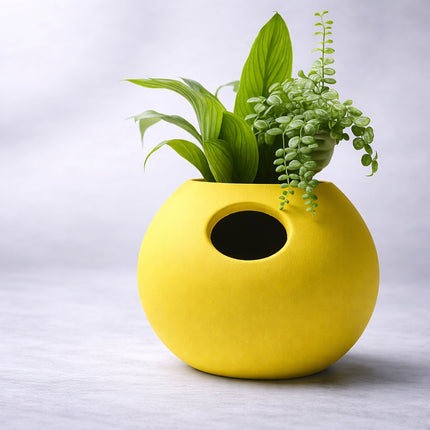 Beira | ghiveci pentru plante self-watering