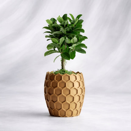 Cava | ghiveci decorativ inspirat din structura fagurelui