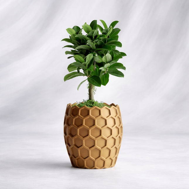 Cava | ghiveci decorativ inspirat din structura fagurelui