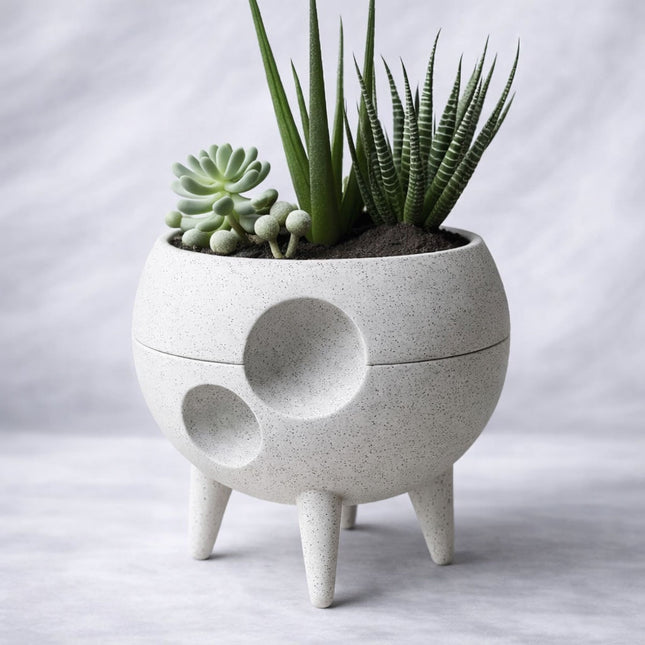 Domus | ghiveci decorativ design mid-century