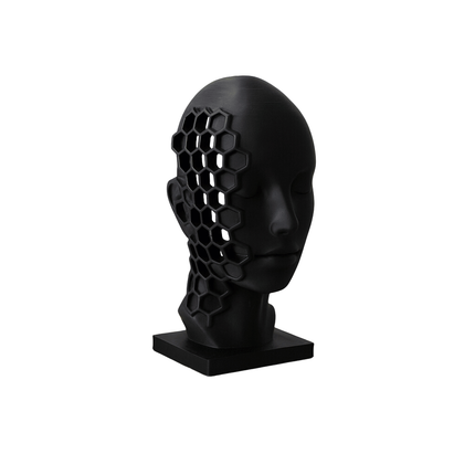 Enoa ׀ sculptură conceptuală