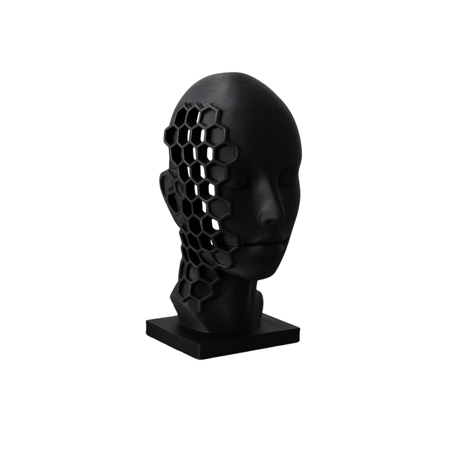 Enoa ׀ sculptură conceptuală