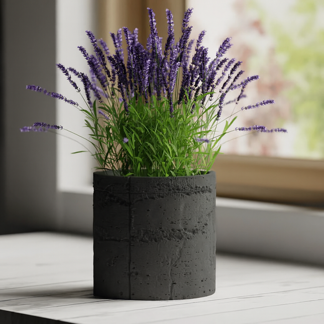 Alera – ghiveci cu textură de beton brut, design contemporan